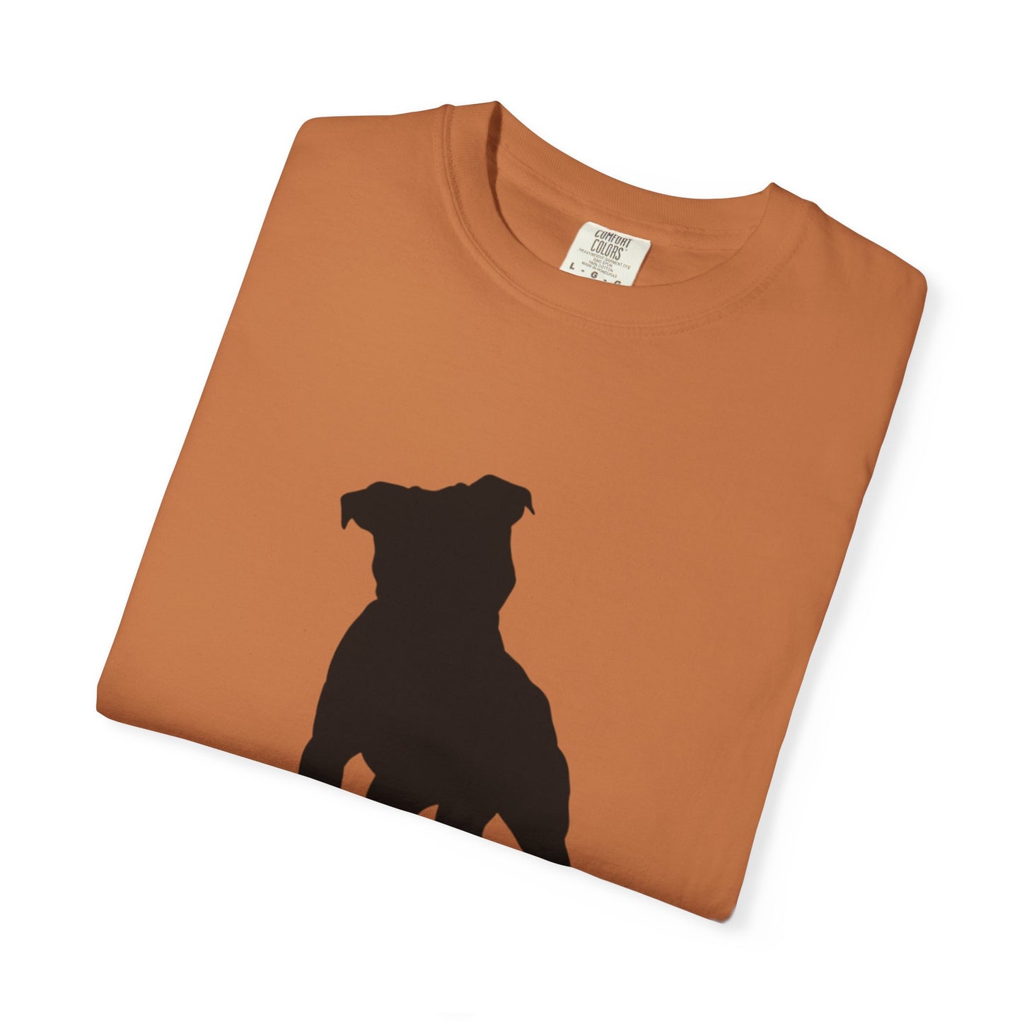 Pitbull Statement T-Shirt