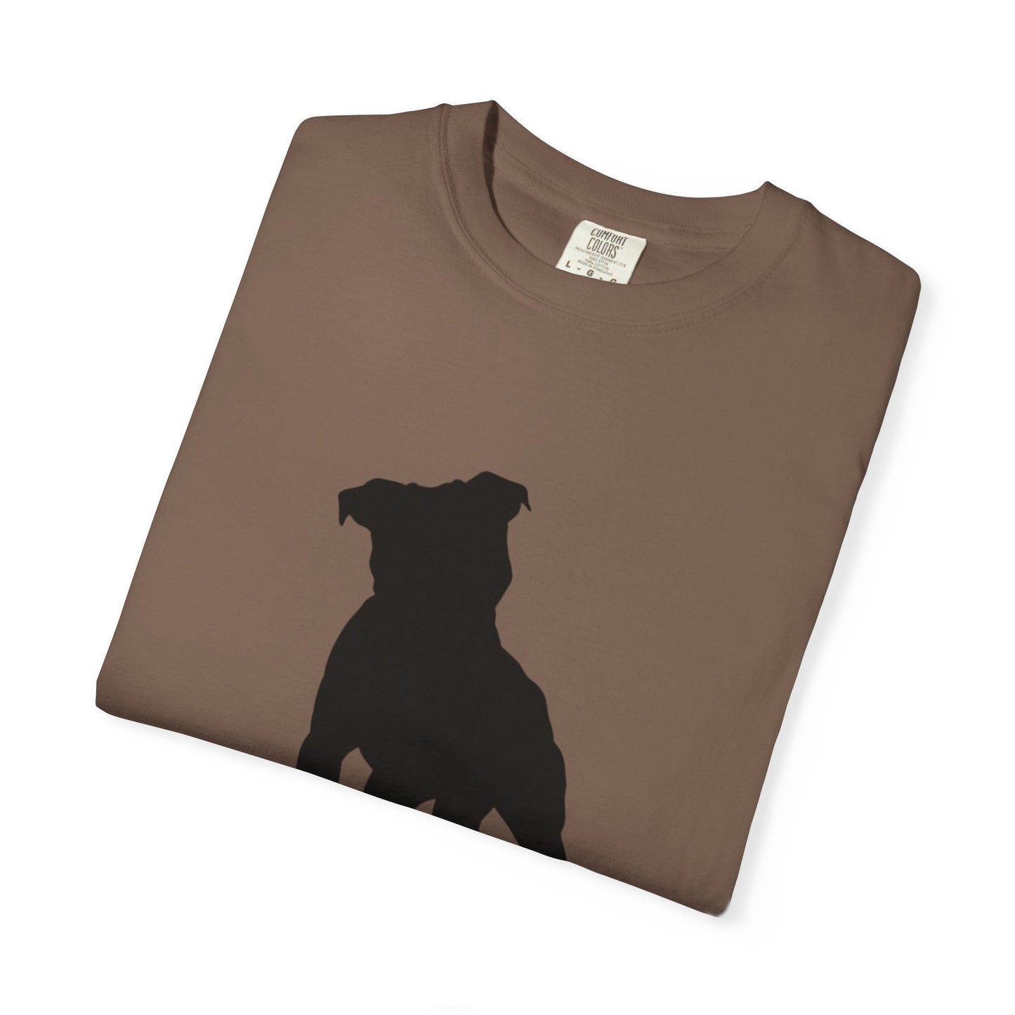Pitbull Statement T-Shirt