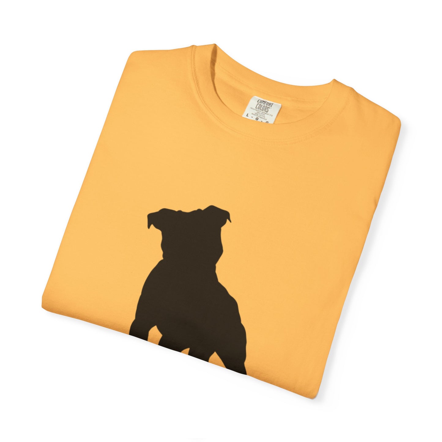 Pitbull Statement T-Shirt