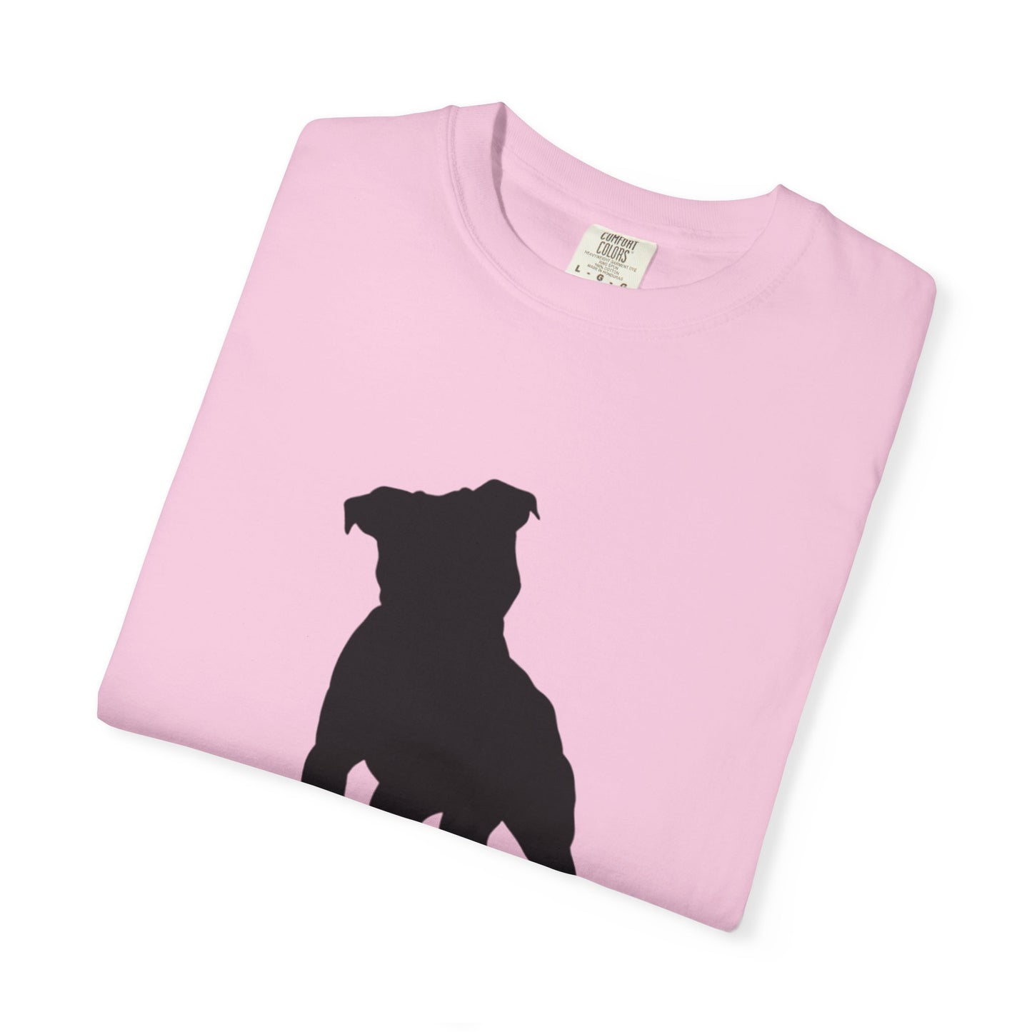 Pitbull Statement T-Shirt
