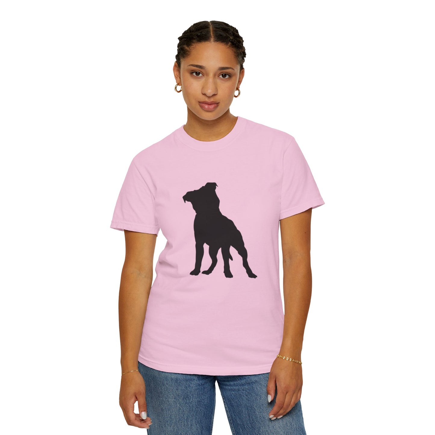 Pitbull Statement T-Shirt
