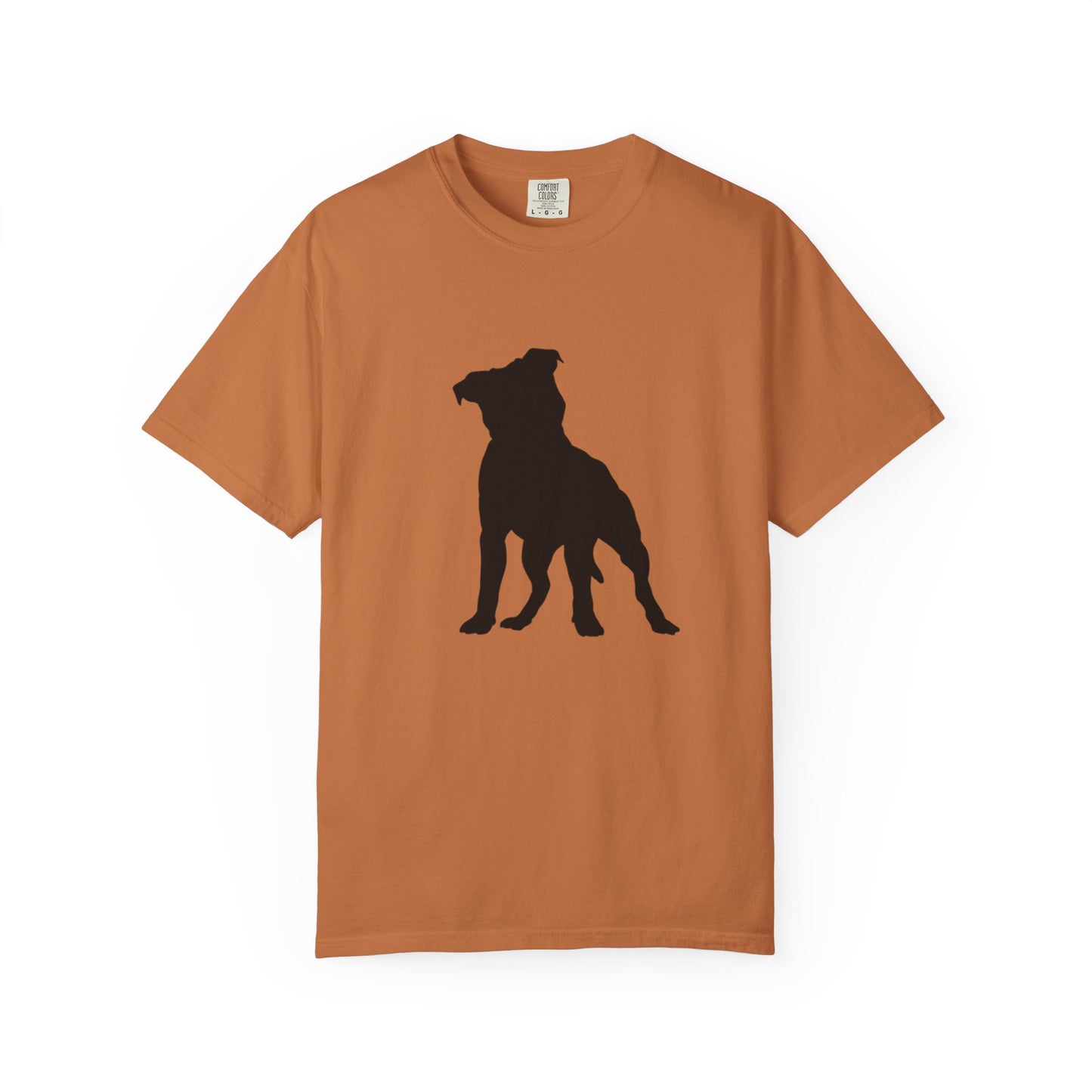 Pitbull Statement T-Shirt