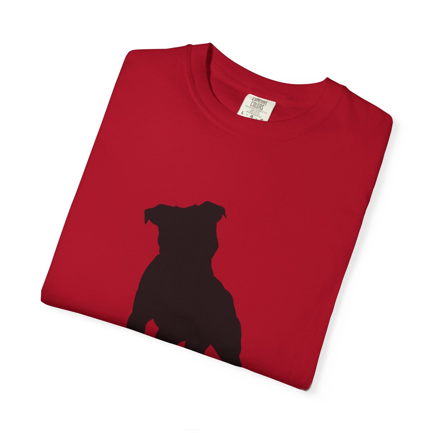 Pitbull Statement T-Shirt