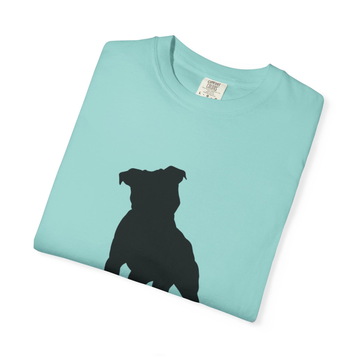 Pitbull Statement T-Shirt