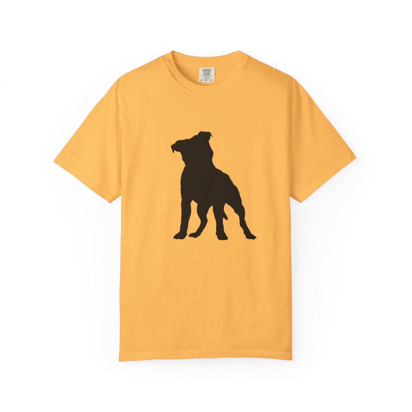 Pitbull Statement T-Shirt