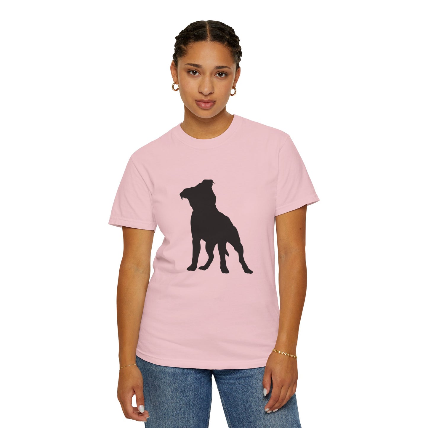 Pitbull Statement T-Shirt