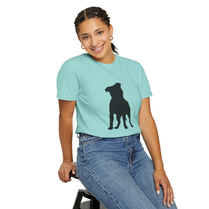 Pitbull Statement T-Shirt