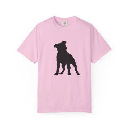 Pitbull Statement T-Shirt